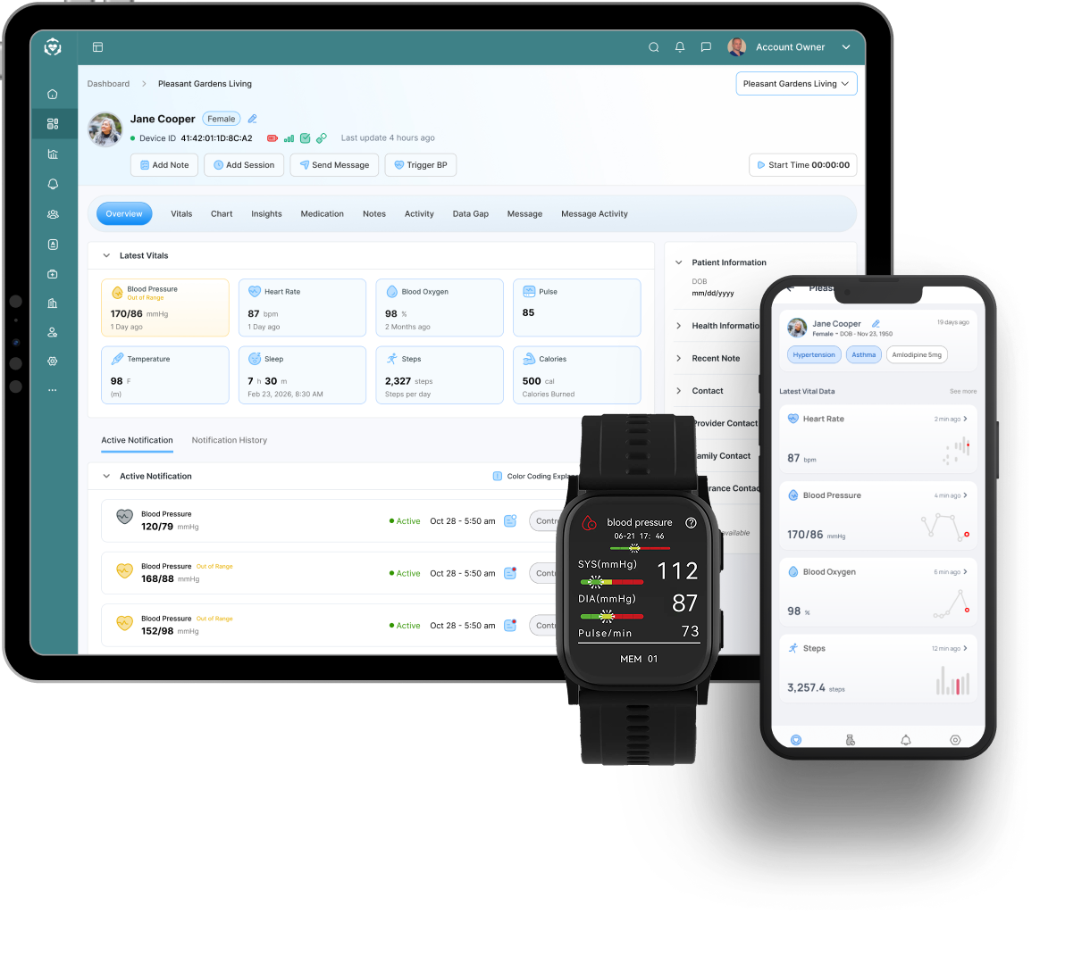 VitalFriend platform product snapshot